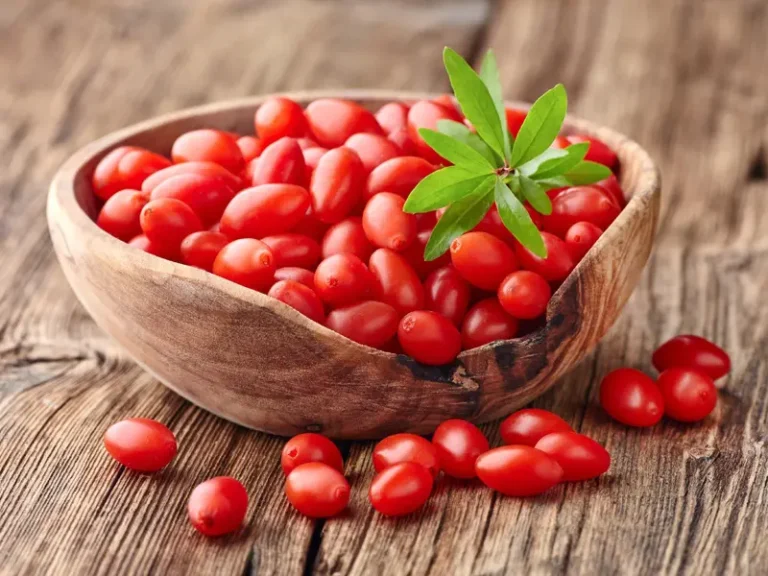 Health Benefits of Goji Berries