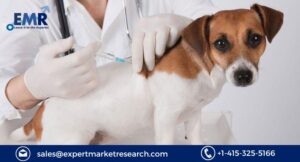 Animal Vaccine Market