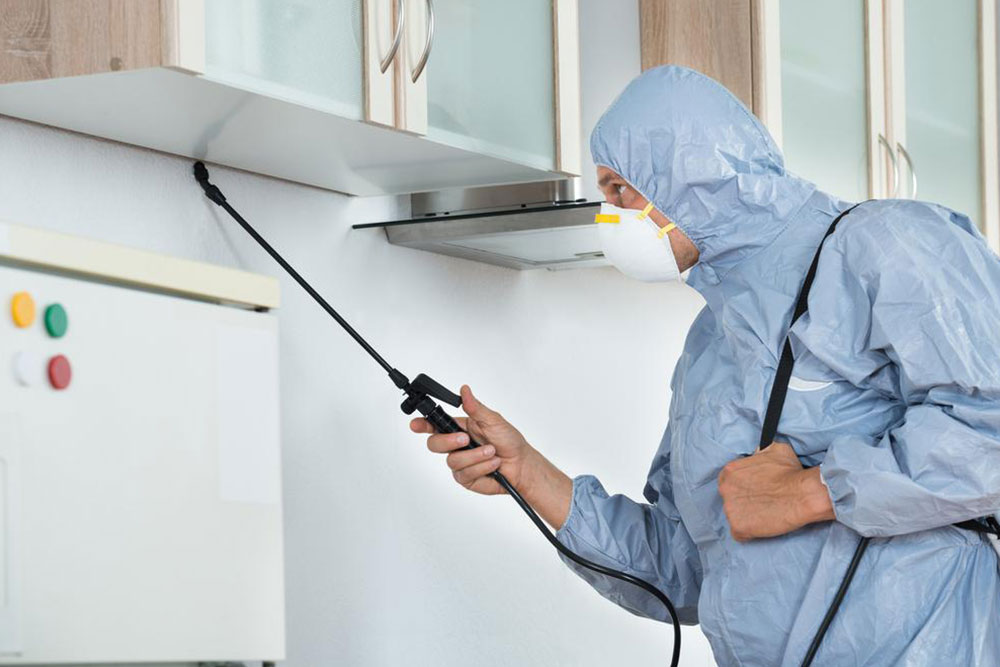 Best Pest Control Company in Dubai