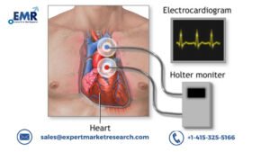 Cardiac Mapping Systems Market