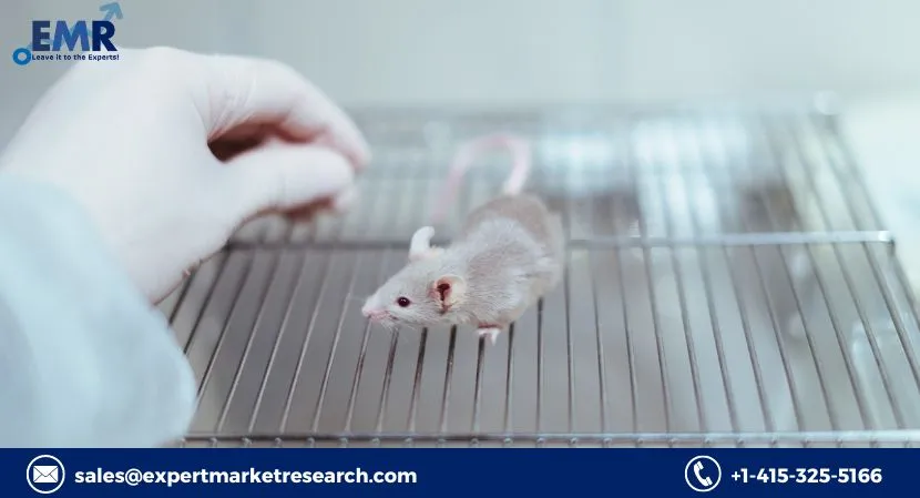 Humanised Mouse and Rat Model Market