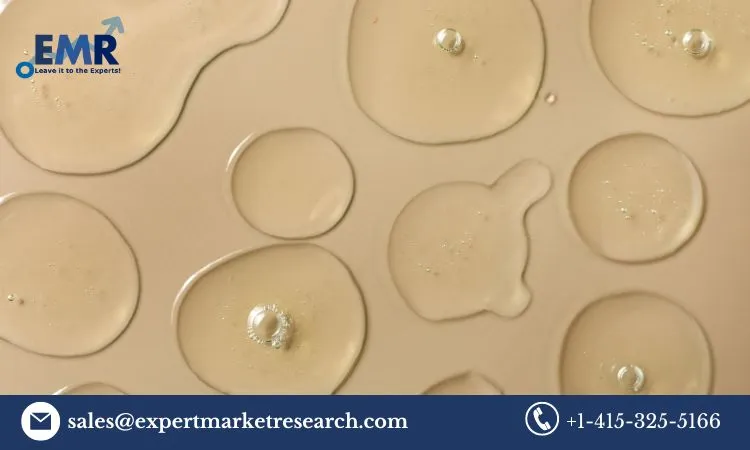 Hydrophilic Coating Market