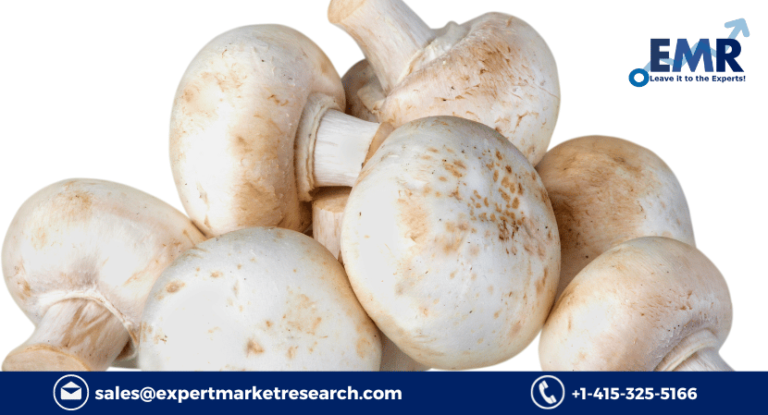 Mushroom Market Report, Growth, Size, Share, Price, Outlook, Overview, Global Industry And Forecast 2023-2028