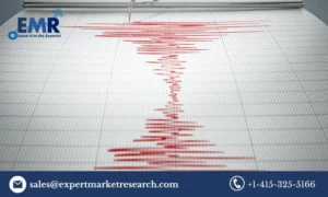 Seismic Services Market