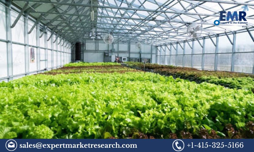 Smart Greenhouse Market