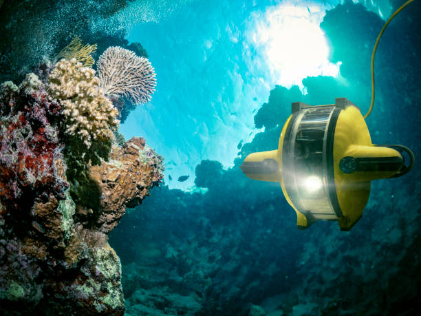 Subsea Robotics