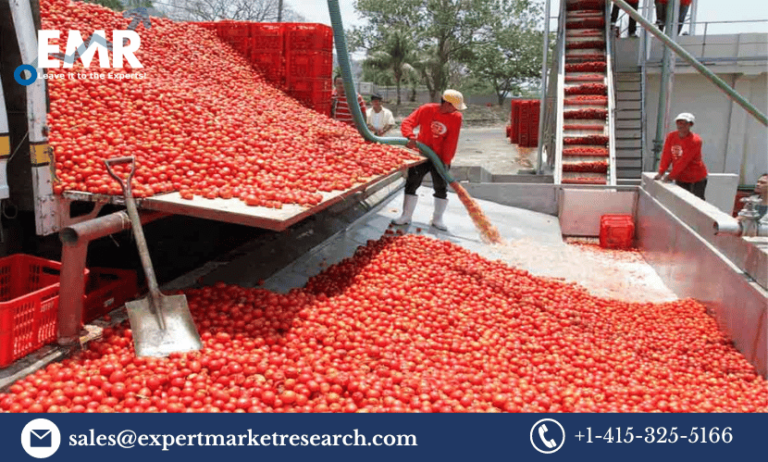 Tomato Processing Market Size, Share, Price, Trends, Growth, Analysis, Report, Forecast 2023-2028