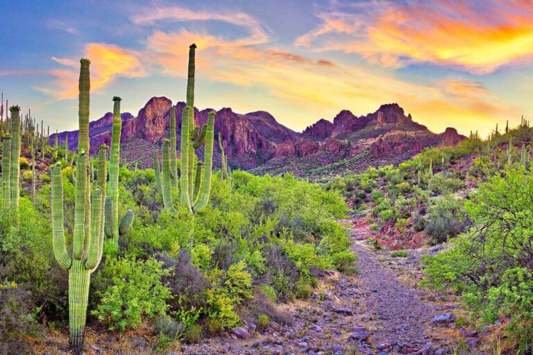 Top 5 Tourist Places in Phoenix That Are Must Visit