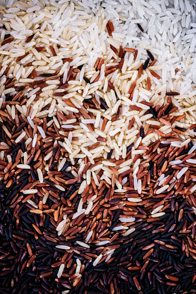 Broken Rice Price in Pakistan