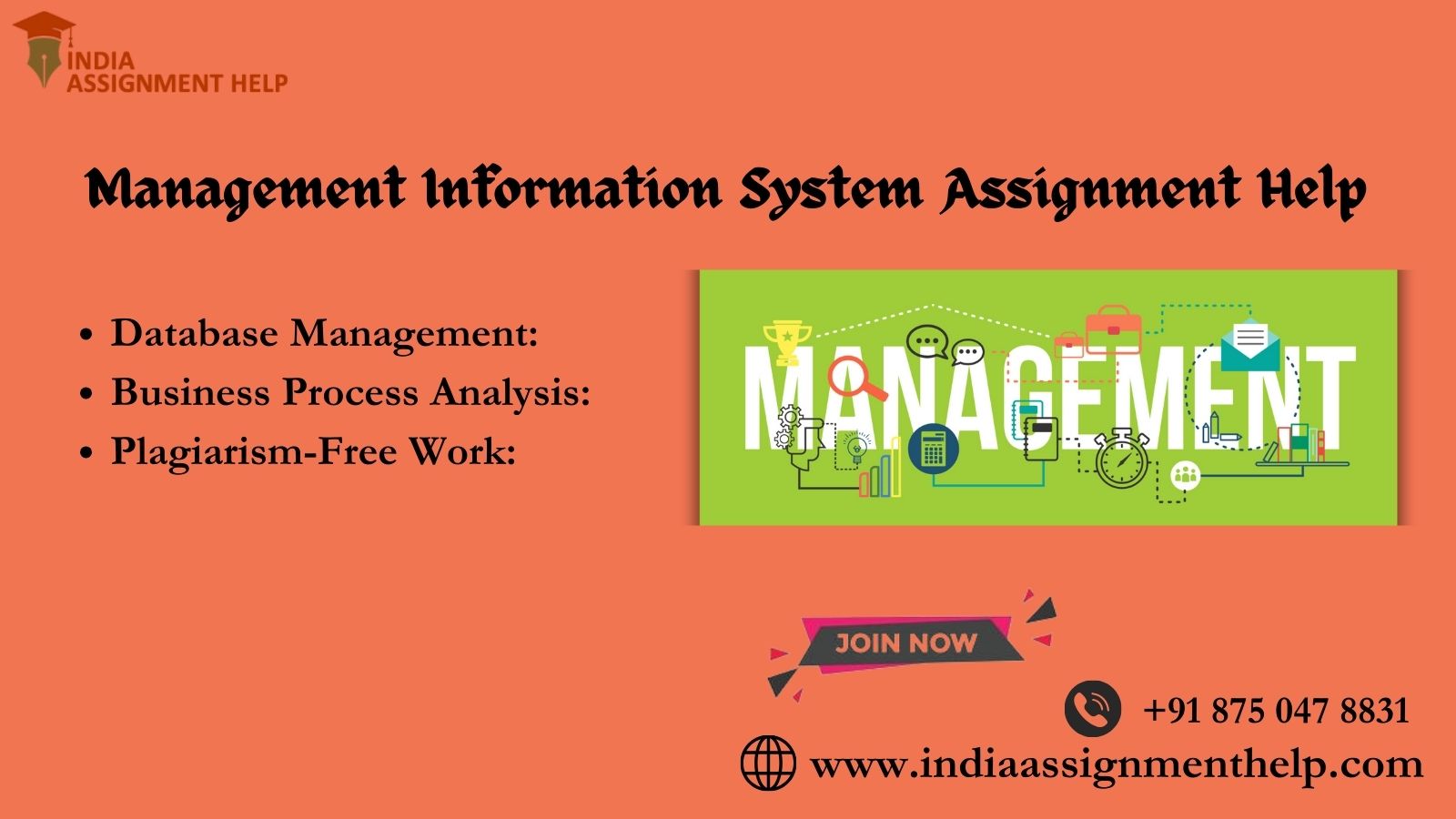 management information system assignment help