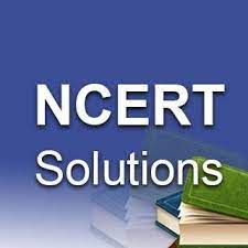 NCERT Solutions: Your Key to Academic Excellence