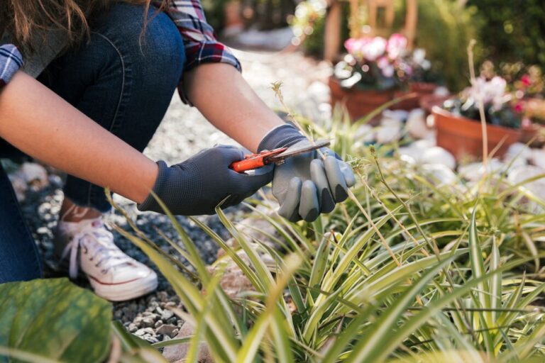 How to Keep Your Landscaping Beautiful: A Complete Guide to Landscaping Maintenance in Carmel, IN