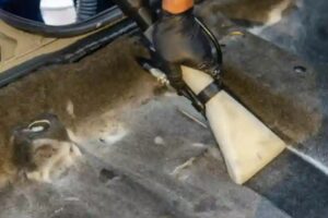 TotalMGT Janitorial Services of Washington DC