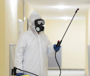 bed bug removal Colorado Springs