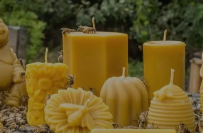 Creamed Honey vs. Honeycomb: Which Is Better?