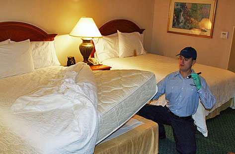 Bed Bugs Removal Springfield MO: Your Ultimate Guide to a Pest-Free Home